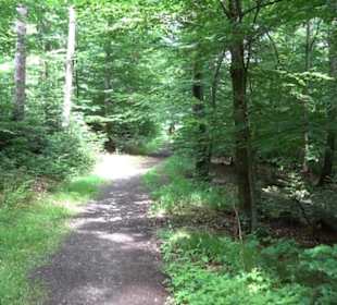 Pfaffenberg