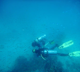 Delfintour 07.08.2012 