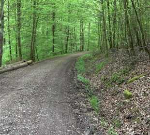 Wandertour Feuchtgebiet Schönbuch