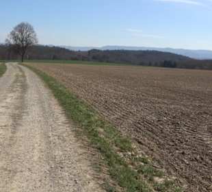 Geschichtlicher Lehrpfad Einsiedel