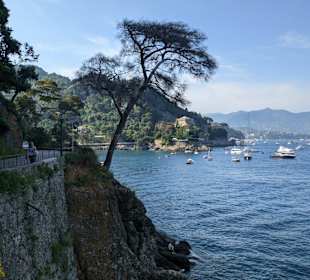 Yachthafen Portofino