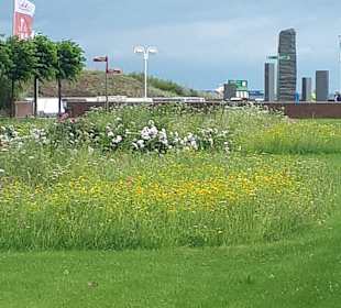 Wandern Baabe [Rügen]