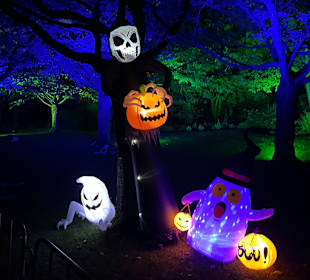 Mondo Verde Halloween