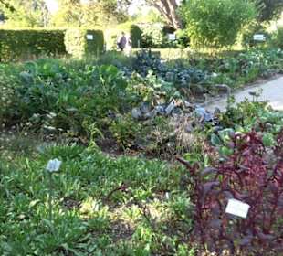 Botanischer Garten München