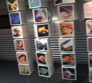 Tierpark Hellabrunn - Welt der Affen