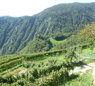 Restaurant Rielinger Hof