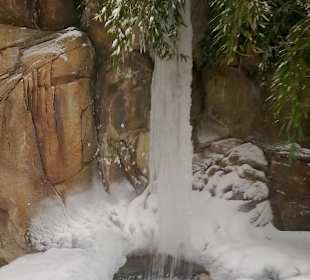 Wasserfall vor dem Löwengehege
