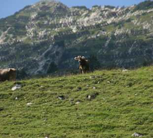 Spaziergang an der Bergstation Mattstock