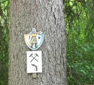 Fußballbilliard - Minigolf Hallwangen