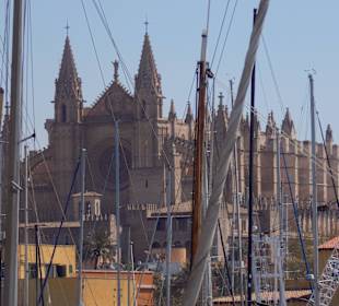 Die Kathedrale vom Hafen aus, März 2017