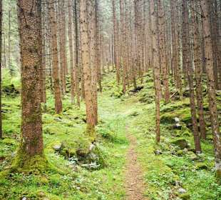 Besinnungsweg Reinbach-Wasserfall