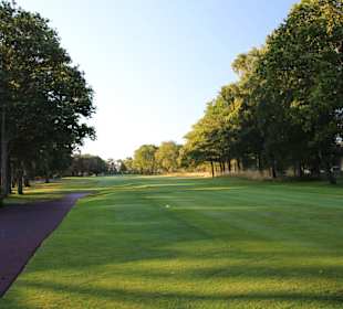 Kiefern umsäumte Bahnen