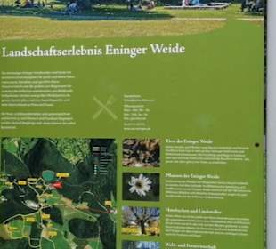 Eninger Weide
