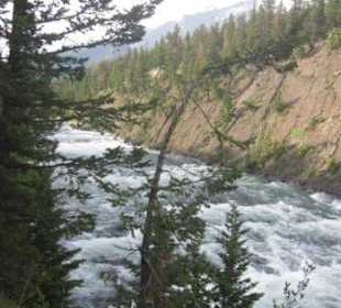 Bow River, kurz vor den Wasserfällen