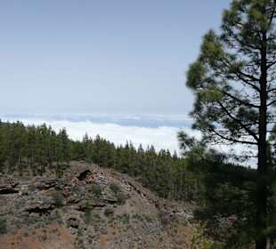 Park el teide