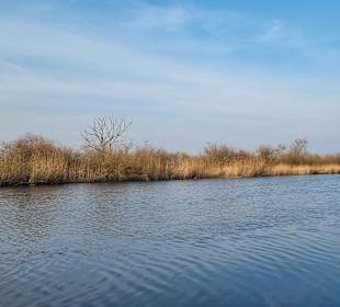 Amazonas des Nordens - die Peene