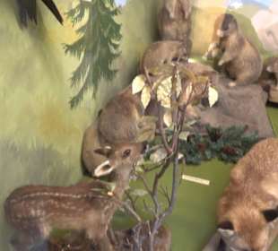 Heimatmuseum Oberstdorf