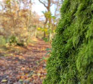Wandern Bad Rothenfelde