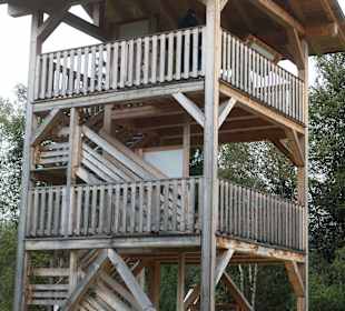 Bei der Moor-Wanderung (Inzeller Filzen)