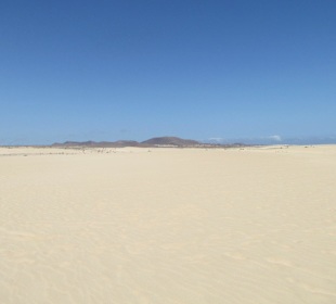 Dünenlandschaft bei Corralejo