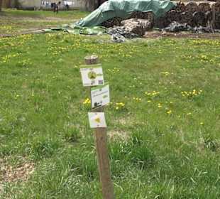 Vulkankrater-Rundweg Apfelstetten