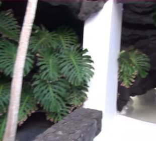 Fundacion Cesar Manrique