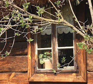 Białostockie Muzeum Wsi