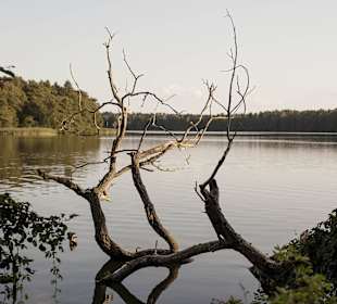 Das romantische Südufer