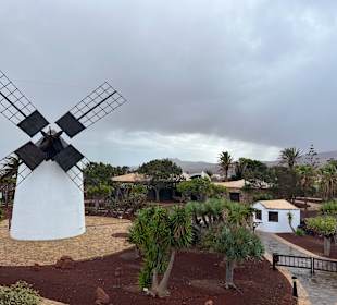 Aussicht von der Dachterrasse