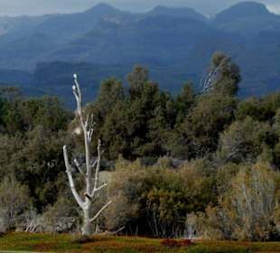 Blick über die Dünen