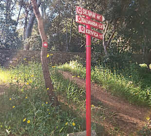 Von Veli Losinj hinauf zur Kapelle Sveti Ivan