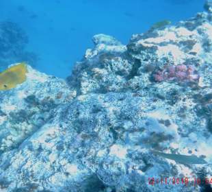 Schnorcheln Hurghada