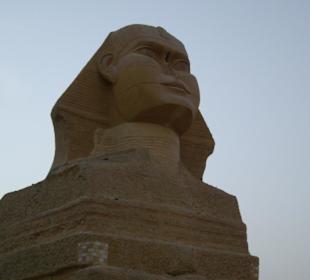Sphynx