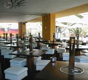 Die Tränke zum selber Zapfen 12 Stück an der Zahl