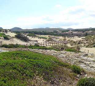 Sanddünen von Cala Mesquida