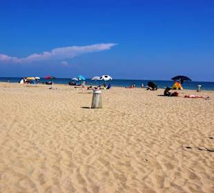 Freier Hundestrandbereich