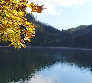 Fuschlsee