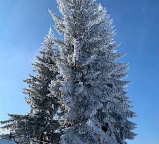 Wandern Titlis Engelberg