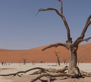 Dünen Sossusvlei