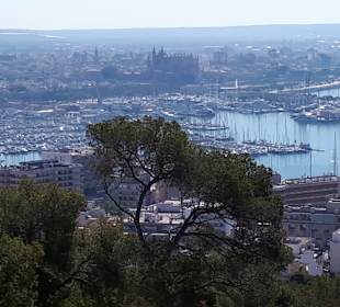 Hafen Palma de Mallorca