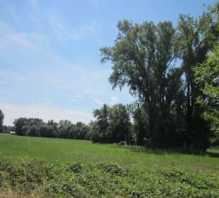 Am Rhein in Germersheim