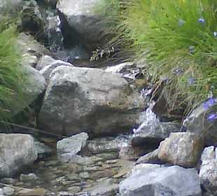 Tatrzański Park Narodowy