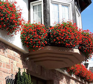 Weingut Altes Schlösschen