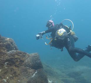 Foto-Tauchen auf Teneriffa mit Martin Majewski