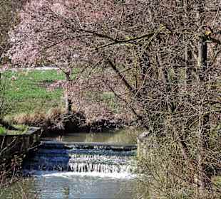 Wasserbau im Fränkischen Freilandmuseum