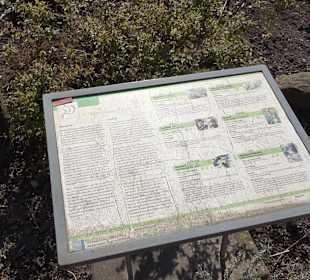 Apothekergarten Ettlingen