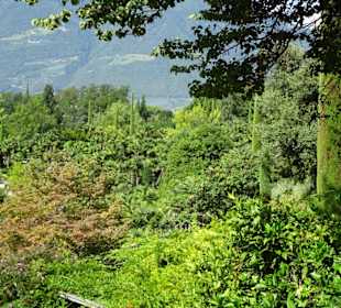 Impressionen vom Rundgang durch die Gärten
