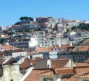 Vom Wasser aus gesehen Altstadt / Burg
