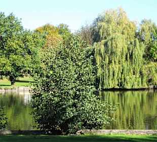 Spaziergang durch den Godewindpark
