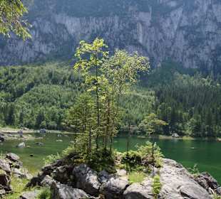 Wanderweg rund um den Gosausee